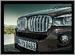 BMW X5 E70, Grill