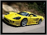 Saleen S7