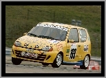 Fiat Seicento, Rajd